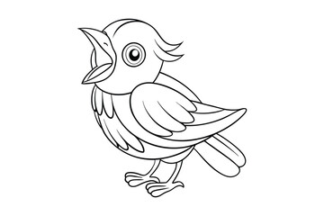 Birds Coloring book for kids