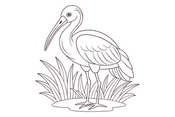 Heron coloring pages coloring page for kids 