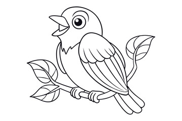 Birds Coloring book for kids