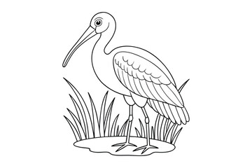 Heron coloring pages coloring page for kids 