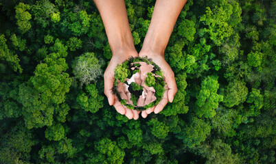 earth day and environment concept globe tree on hand green forest background
