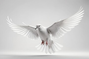 Fototapeta premium White dove in flight, wings outstretched against a light grey background.