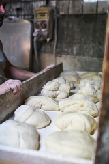 Raw bread dough pieces in bakery tray ready for baking