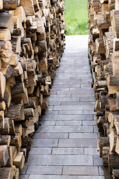 Chopped firewood stacked in a pile. Pile of logs for fireplace. Background of stacked firewood. Woodshed
