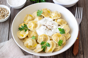 Homemade Russian dumplings. Pelmeni. Traditional Russian Food.