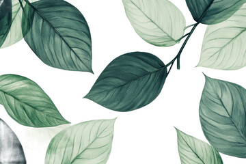 Obraz premium Botanical illustration of green leaves.