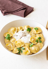 Homemade Russian dumplings. Pelmeni. Traditional Russian Food.