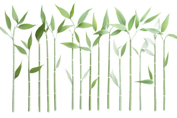 Naklejka premium Minimalist botanical illustration of delicate bamboo branches with watercolor texture.