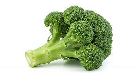 Fresh Broccoli Floret on White Background Ready for Healthy Recipes