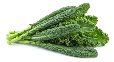 Fresh Bunch of Organic Kale Leaves Isolated on White Background