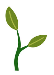 Life cycle of lemon tree. Vector young tree side view isolated on white background for landscape and architecture drawing, elements for environment and garden