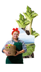 Fototapety na wymiar - Fototapeta24.pl