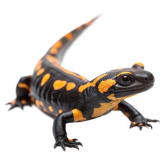 Obraz premium Fire Salamander AI Generated Image