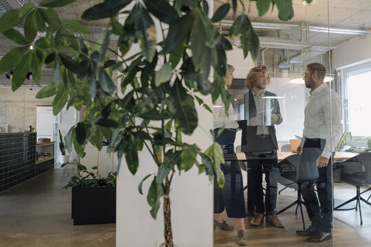 Business team talking in office