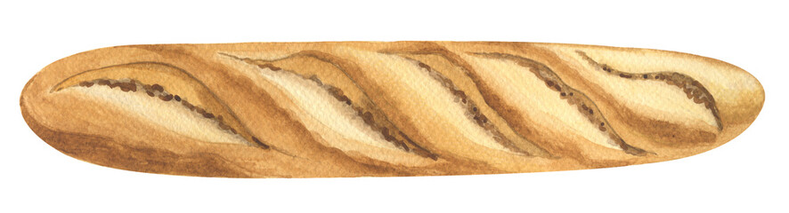 Watercolor French baguette, bread loaf brown bakery crust. French loaf isolated on white background. Watercolor hand drawn  painting tasty meal.
