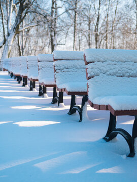 Rows of snow-covered benches