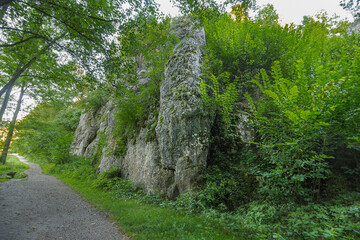 Picturesque landscape with mountains and forest. Green summer forest