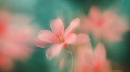 Fototapeta premium A delicate flower blends into a hazy background, creating an abstract dance of colors and light Generative AI