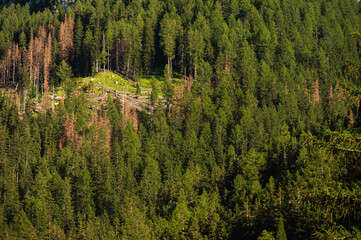 mountain landscape along the San Nicol&ograve; trail, Pozza di Fassa, val di Fassa, Dolomites, Italia