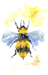 Yellow and black bee with wings painted with watercolors on a white background