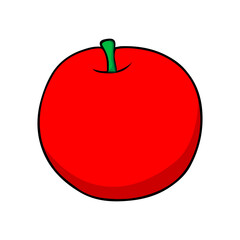 apple vector illustration