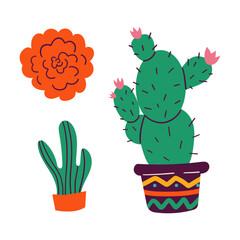 set, mexico, nature, garden, flower, floral, flora, organic, plant, element, illustration, mexican, summer, tropical, collection, vector, cactus, cacti, western, botanical, succulent, spiny, prickly, 