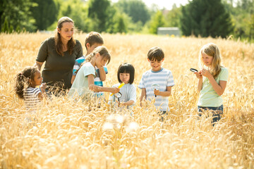 Children examining wheat field with their techer, using magnifying glasses