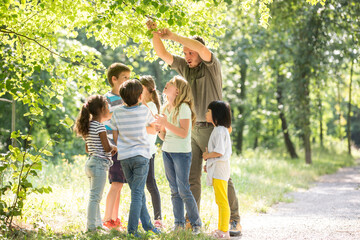 School children exploring nature with a teacher, looking at tree