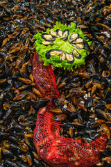 Top view raw sea mussels at fish market. Fresh seafood display featuring mussels, red net, diet green lettuce. Concept of seafood in bustling market