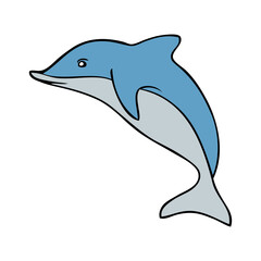 dolphin vector illustration