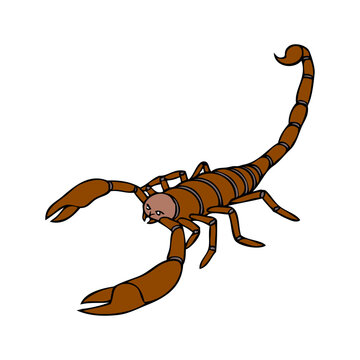 Scorpion clip art preview
