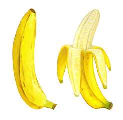 バナナのイラスト　