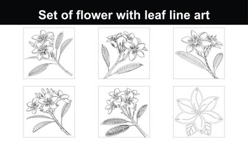 Black Bold Outline Drawing of a Tropical Plumeria Flower in Continuous Line Art Style on a White Background