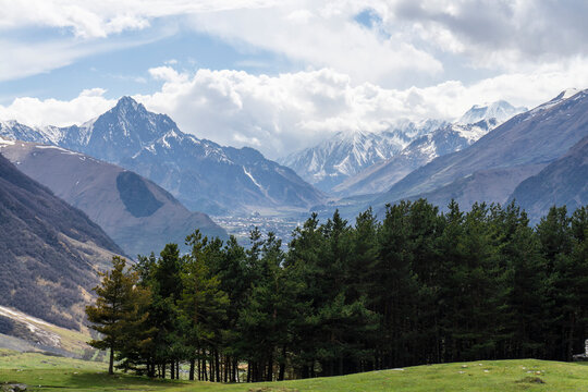 Roofs of houses in a gorge between mountains. A strip of coniferous trees in the foreground. High mountains and rocks covered with snow. Darial Gorge