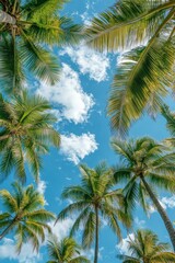 Fototapeta premium Tropical paradise view of palm trees against a vibrant blue sky with fluffy white clouds creating a serene summer atmosphere