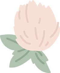 Wildflower Head Hand Drawn