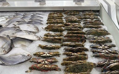 Fresh raw seafood on ice in the market.