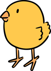 Illustration of chick