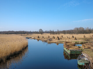 Reed harvest, Nature reserve Weerribben-De Wieden, Overijssel province, The Netherlands