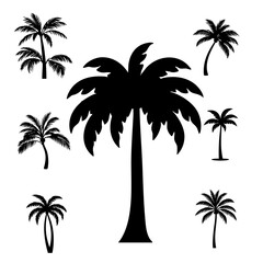 Naklejka premium Palm Tree Silhouettes with Diverse Shapes and Sizes