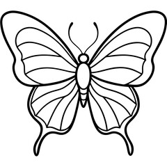 Minimalist Sea Butterfly Line Art