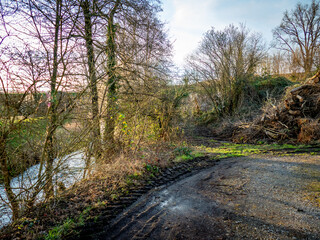 Abholzung im Frühjahr