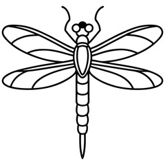 Minimalist Sea Dragonfly Line Art