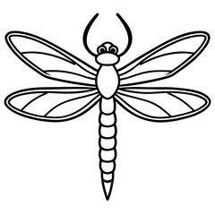 Minimalist Sea Dragonfly Line Art