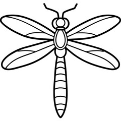 Minimalist Sea Dragonfly Line Art