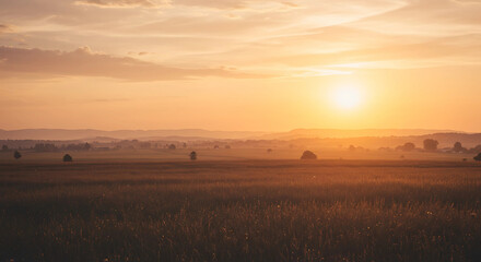 Golden sunrise over a misty field with distant trees