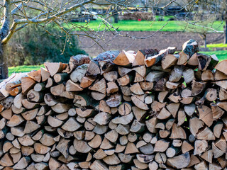 Brennholz lagert auf einer Streuobstwiese © focus finder