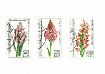 A set of vintage postage stamps from Germany.
