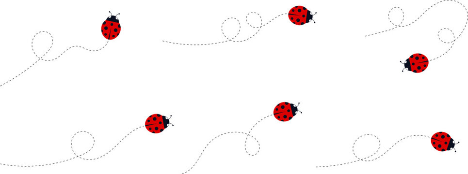 Cartoon ladybug icon set. Ladybugs flying on dotted route. Cute ladybug characters collection. Ladybug with dotted path. Ladybugs flying on dotted route. Vector illustration isolated on white.