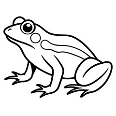 Modern Frog Line Drawing